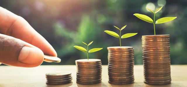 Financial Growth